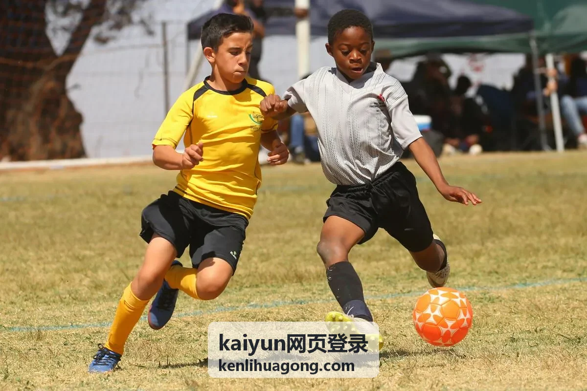 kaiyun网页登录后的功能模块操作界面示意