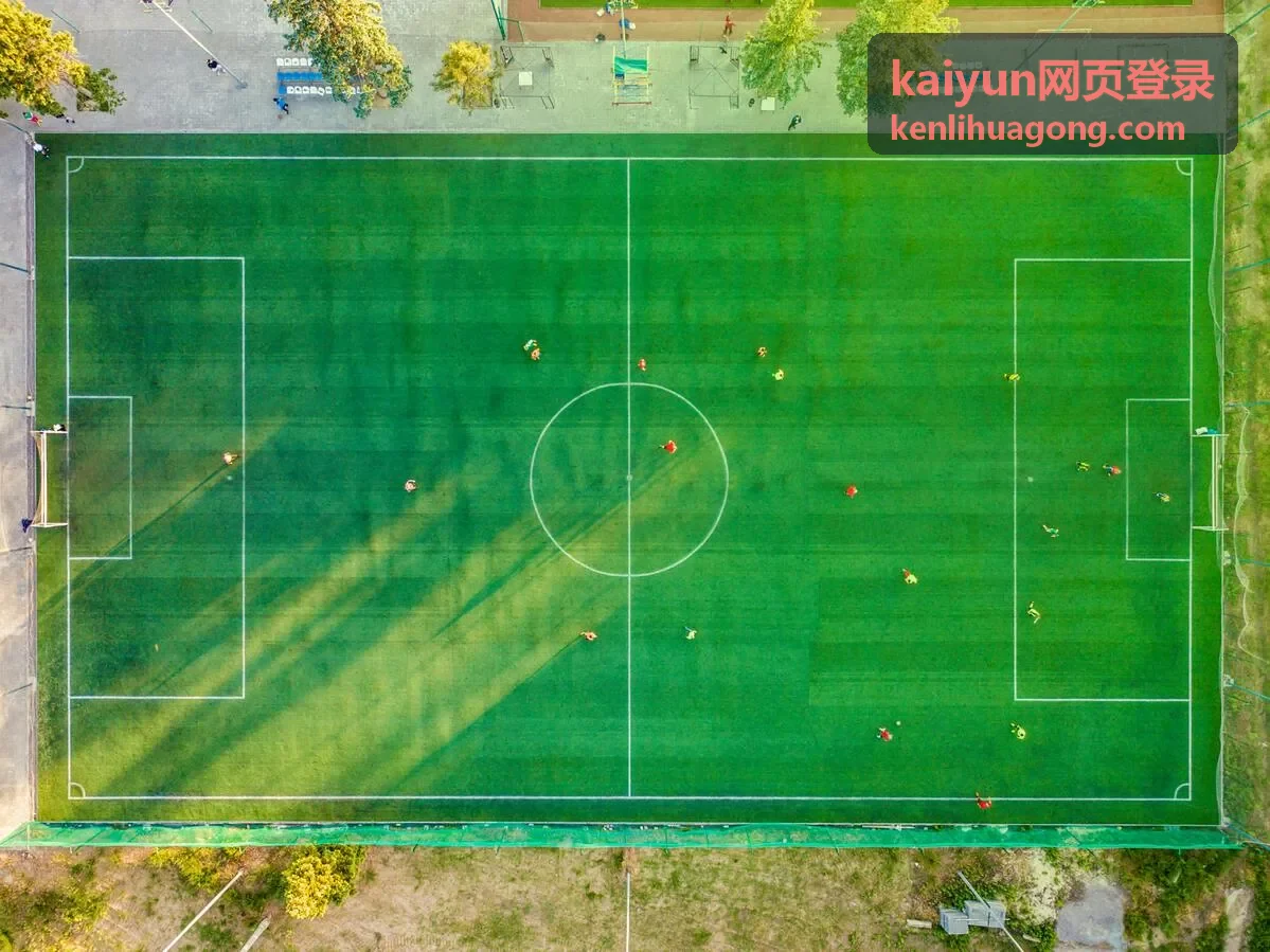 kaiyun网页登录账号日常维护与登录提醒设置示意