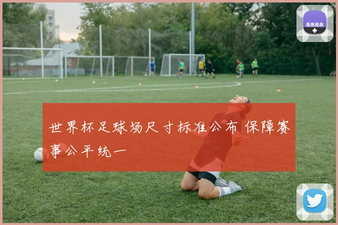 世界杯足球场尺寸标准公布 保障赛事公平统一